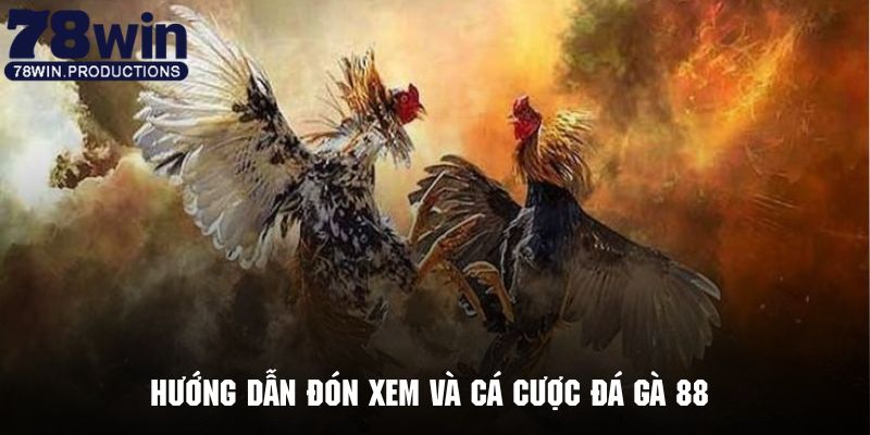 Đá Gà 88 - Phiên Bản Giải Trí Cực Hot Tại Hệ Thống 78win 7 Thao tác đón xem những trận đá gà cực kỳ hấp dẫn tại 789win